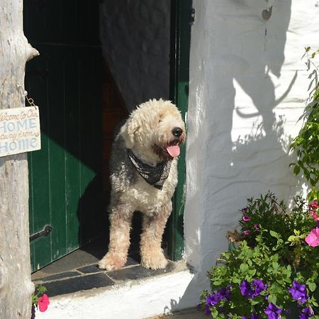Lissyclearig Thatched Cottage Kenmare Exteriör bild