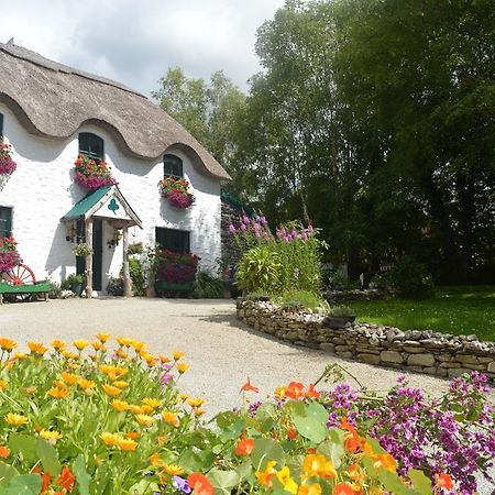 Lissyclearig Thatched Cottage Kenmare Exteriör bild