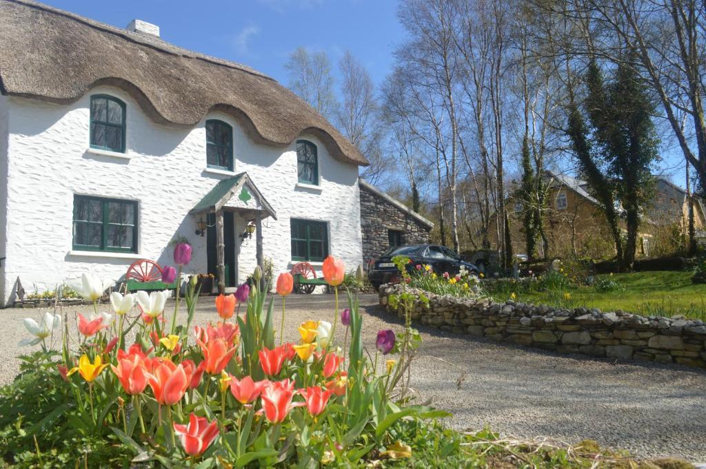 Lissyclearig Thatched Cottage Kenmare Exteriör bild