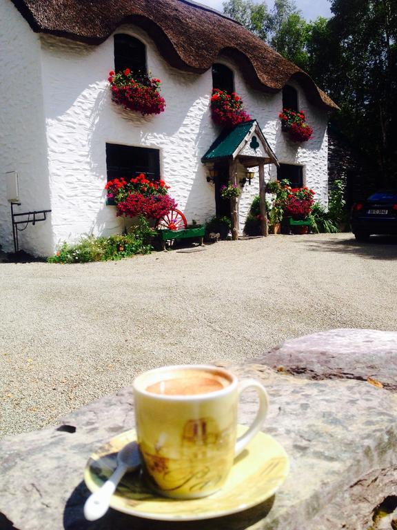 Lissyclearig Thatched Cottage Kenmare Exteriör bild