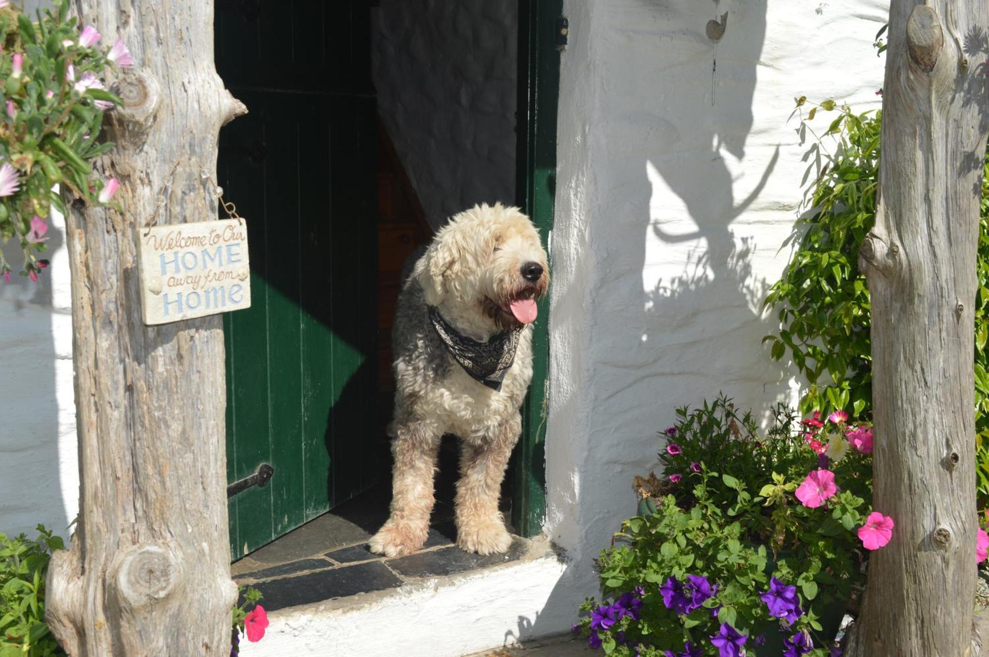 Lissyclearig Thatched Cottage Kenmare Exteriör bild